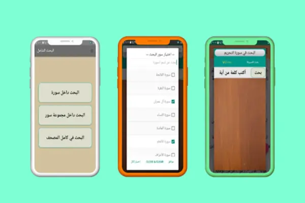 التفسير الوسيط لطنطاوي android App screenshot 0