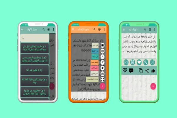 التفسير الوسيط لطنطاوي android App screenshot 4